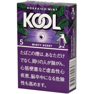 KOOL MINTY BERRY（薄荷藍莓)5mg